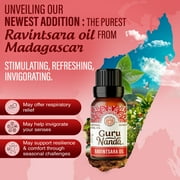 GuruNanda Breathe Essential Oil Blends for Sinus, Congestion & Aromatherapy - Set of 3