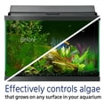 thumbnail image 3 of Eliminador de algas para acuarios, pecera Aqueon, 120 ml, 3 of 7