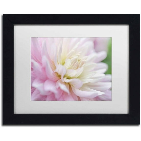 Trademark Fine Art 'White and Pink Dahlia' Canvas Art by Cora Niele, White Matte, Black Frame