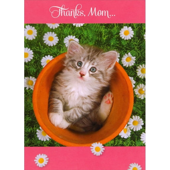 RSVP Kitten in Clay Flower Pot Cute Mother's Day Card for Mom