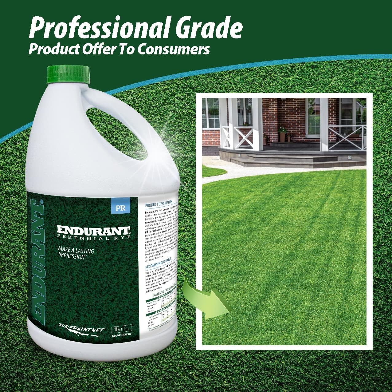 Endurant Turf Colorants - Perennial Rye Spray Green Grass Paint For Lawns - Revives Dry, Patchy Yards - Light Grass Hue - Easy To Use, Concentrated Turf Grass Dye - Covers Approx 10,000 Sq Ft - 1 Gal