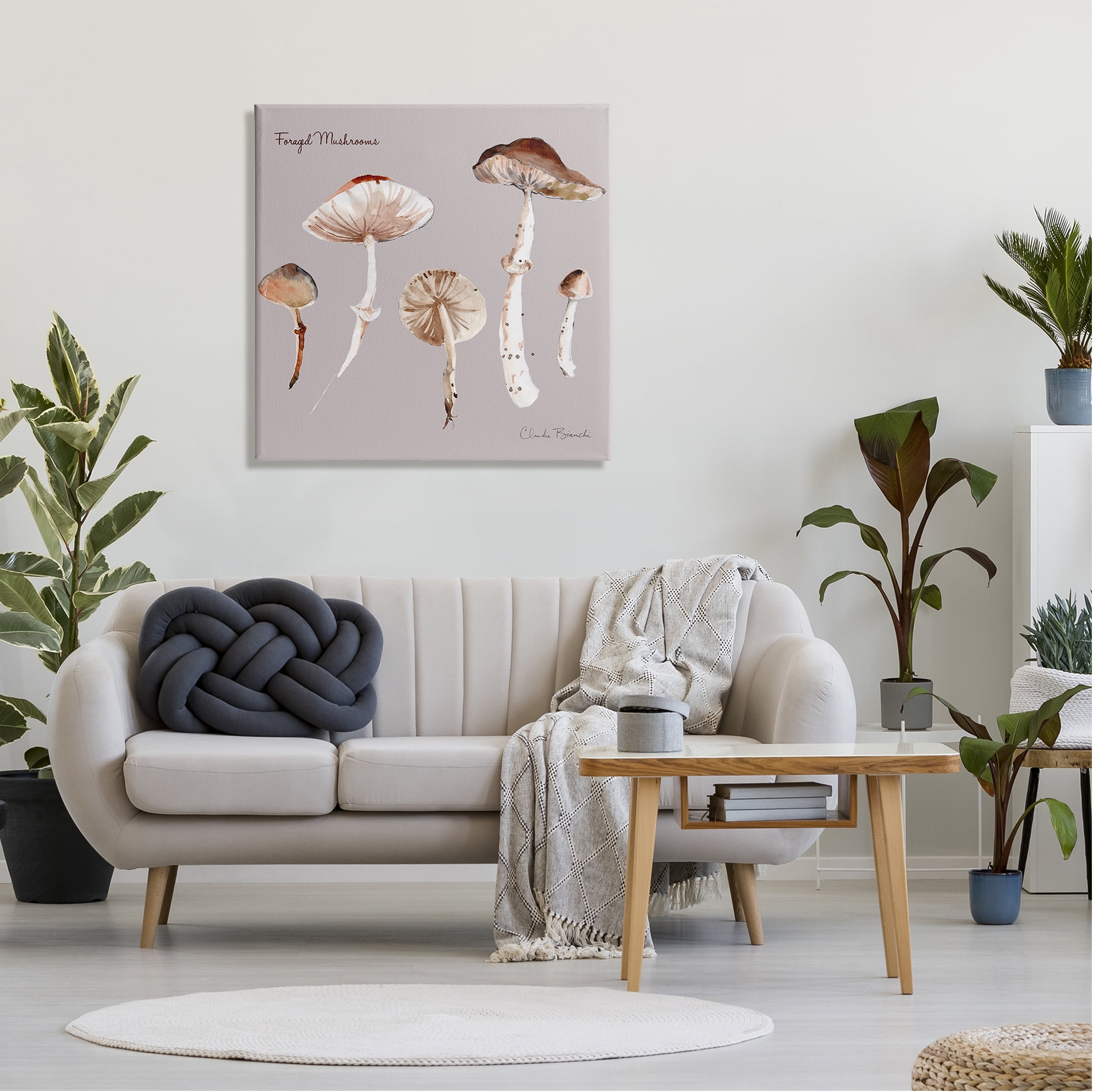 Stupell Industries Foraged Mushrooms Study Botanical & Floral Painting Gallery Wrapped Canvas Art Print Wall Art, 30 x 30