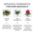 thumbnail image 2 of ZENAGEN Densifying Hair Serum TMA2&nbsp;for Fine + Thinning Hair | Hair Density, Strengthens & Nourishes Hair Follicles, Non-Greasy Water-Based Formula, Plant-Based, Vegan, All Hair Types, 1.7 oz, 2 of 3