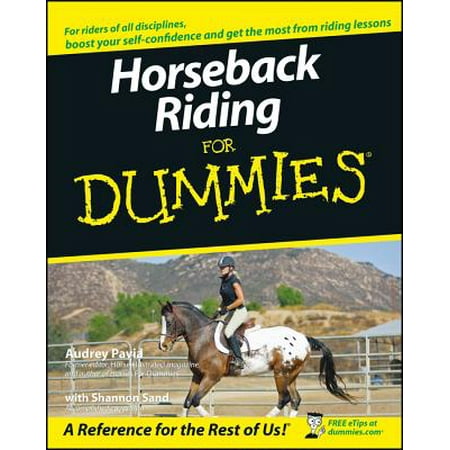 Horseback Riding for Dummies (Best Horseback Riding In Florida)