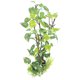thumbnail image 5 of Plantas artificiales de acuario ANGGREK Otros, 5 of 8