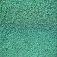 thumbnail image 1 of Ahgly Company Machine Washable Indoor Square Transitional Turquoise Green Area Rugs, 5' Square, 1 of 7