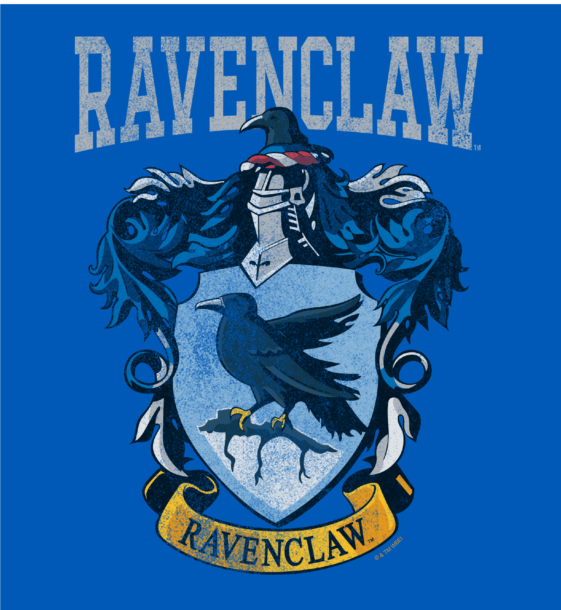 Harry Potter Ravenclaw Crest Long Sleeve Unisex Adult Hooded Sweatshirt-Large