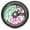 Green Pink and Black, variant on Oath Bermuda Wheels - 120mm Neo Chrome