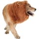 thumbnail image 2 of Melena de León para Perros - Melena de León Realista y Divertida - Melena de León Complementaria para Disfraces de Perro - Peluca de Melena de León para Perros Medianos a Grandes ER, 2 of 7