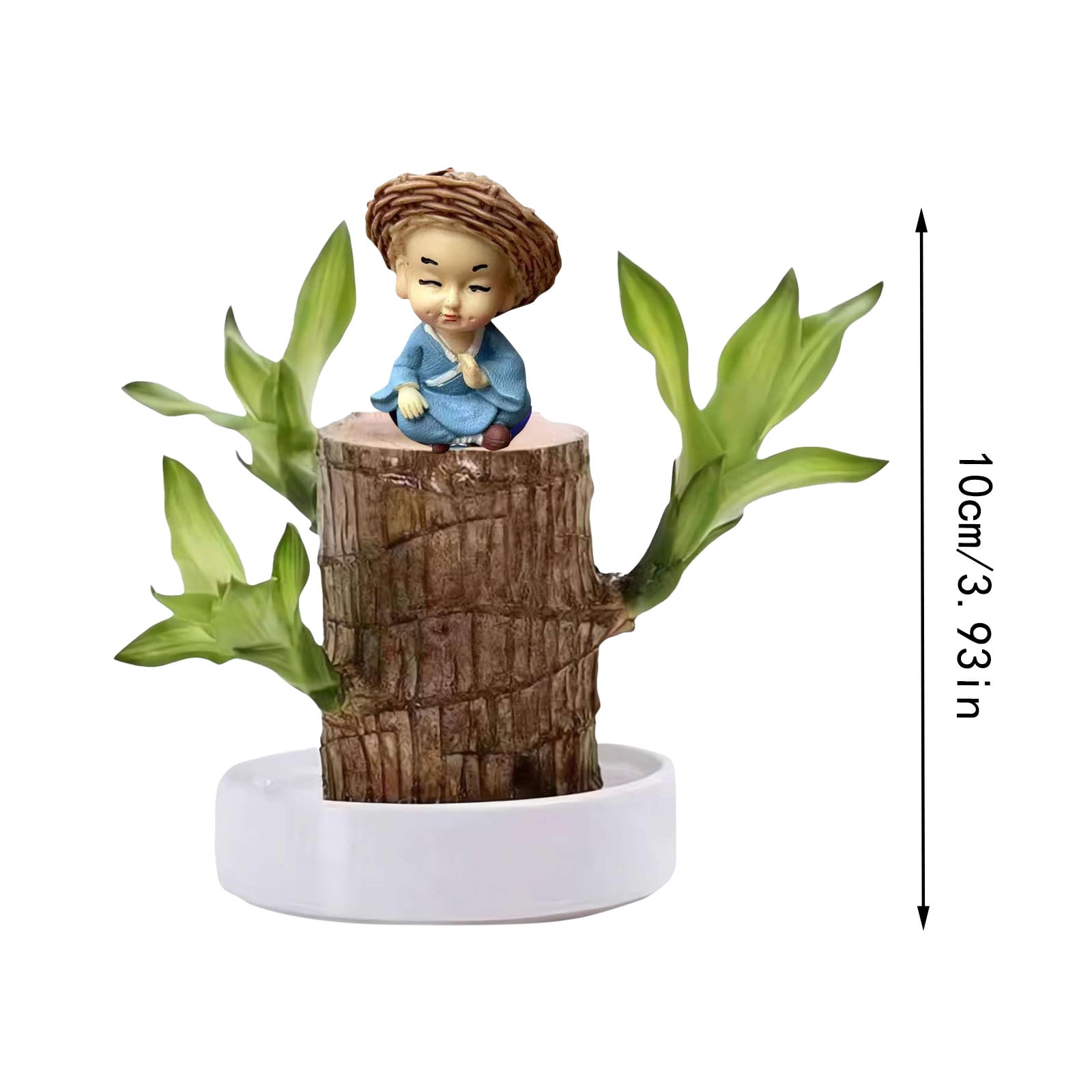 Brazil Wood Decor Lucky Bamboo Wood - Brazilian Lucky Wood Plant Wood ...