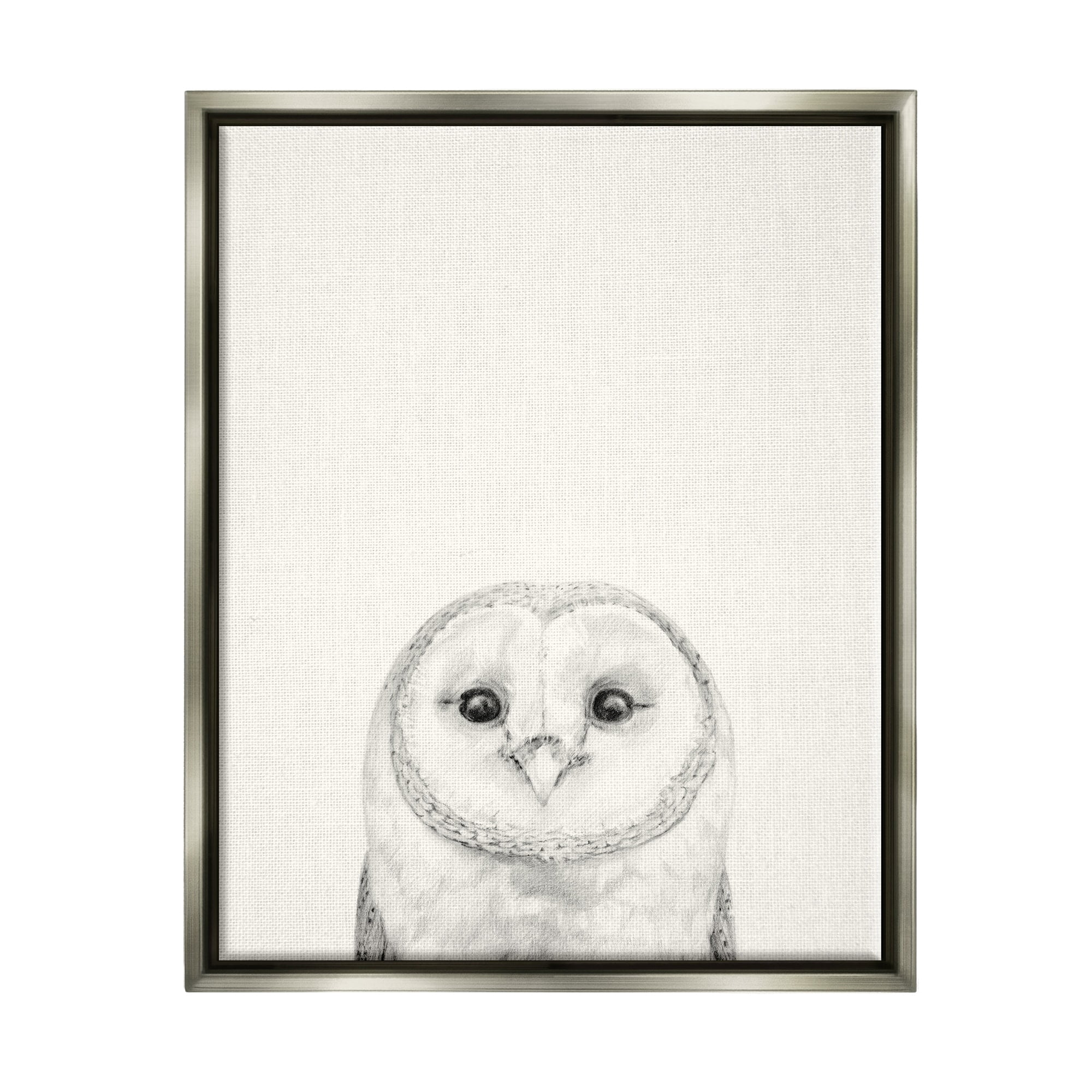 Stupell Industries Owl Portrait Grey Drawing Design Luster Gray Framed Floating Canvas Wall Art, 16x20, by Victoria Borges