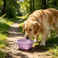 thumbnail image 6 of FEOLGEHLY Slow Feed Travel Dog Bowl Pet Bowl, Non Skid Collapsible Silicone Slow Feeding Food Water Bowl for Small Dogs and Cat Bowls for Indoor Cats Outdoor Portable Pet Dining Supplies, 6 of 6