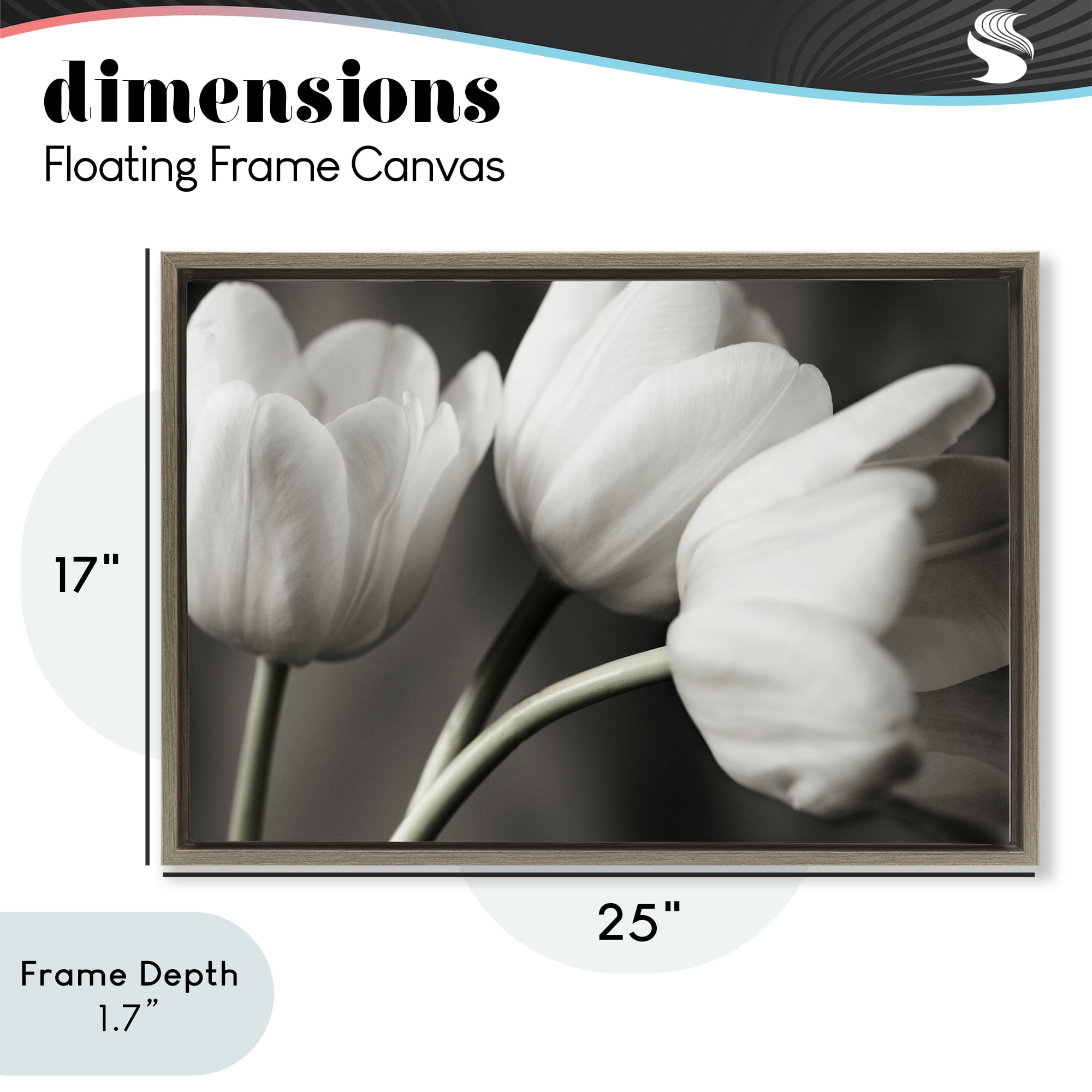 Stupell Industries Row Of Monochrome Tulips Brown Framed Floater Canvas Wall Art, design by Tom Quartermaine