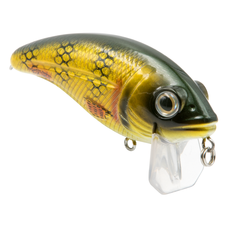 arbor fly reel Silvertip Predator – Large Saltwater Reel 50pcs long shank fishing funny fishing gifts Color:Genson Perch while the corrosion
