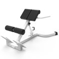 thumbnail image 3 of QinaQin All-Round Chair Training Bench, Adjustable Hyperextension Station, White, 3 of 7