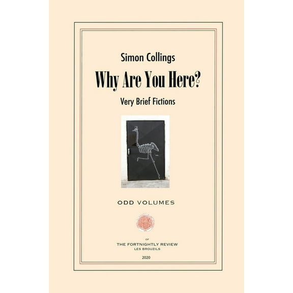 Why Are You Here? : Very Brief Fictions (Paperback)