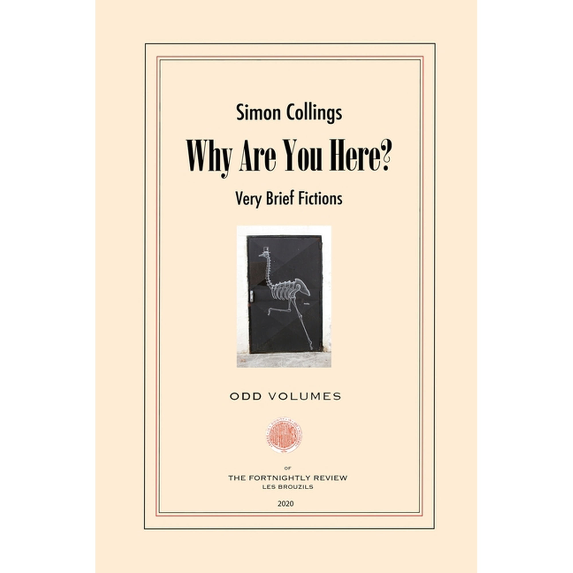 Why Are You Here?: Very Brief Fictions (Paperback)