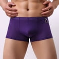 thumbnail image 5 of Gubotare Men's Panties Big and Tall Men's Cotton Underwear Gift Box Briefs - Trunks - Boxer Briefs (Purple,M), 5 of 5