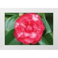 thumbnail image 3 of Erin Berzel 32x23 White Modern Wood Framed Wall Art Titled - Camellia Flower I, 3 of 5