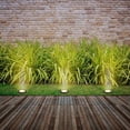 thumbnail image 3 of Luminario Para Jardin Estevez Empotrado Piso Negro Gu5.3 Mr1, 3 of 3