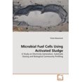 thumbnail image 1 of Microbial Fuel Cells Using Activated Sludge, 1 of 2