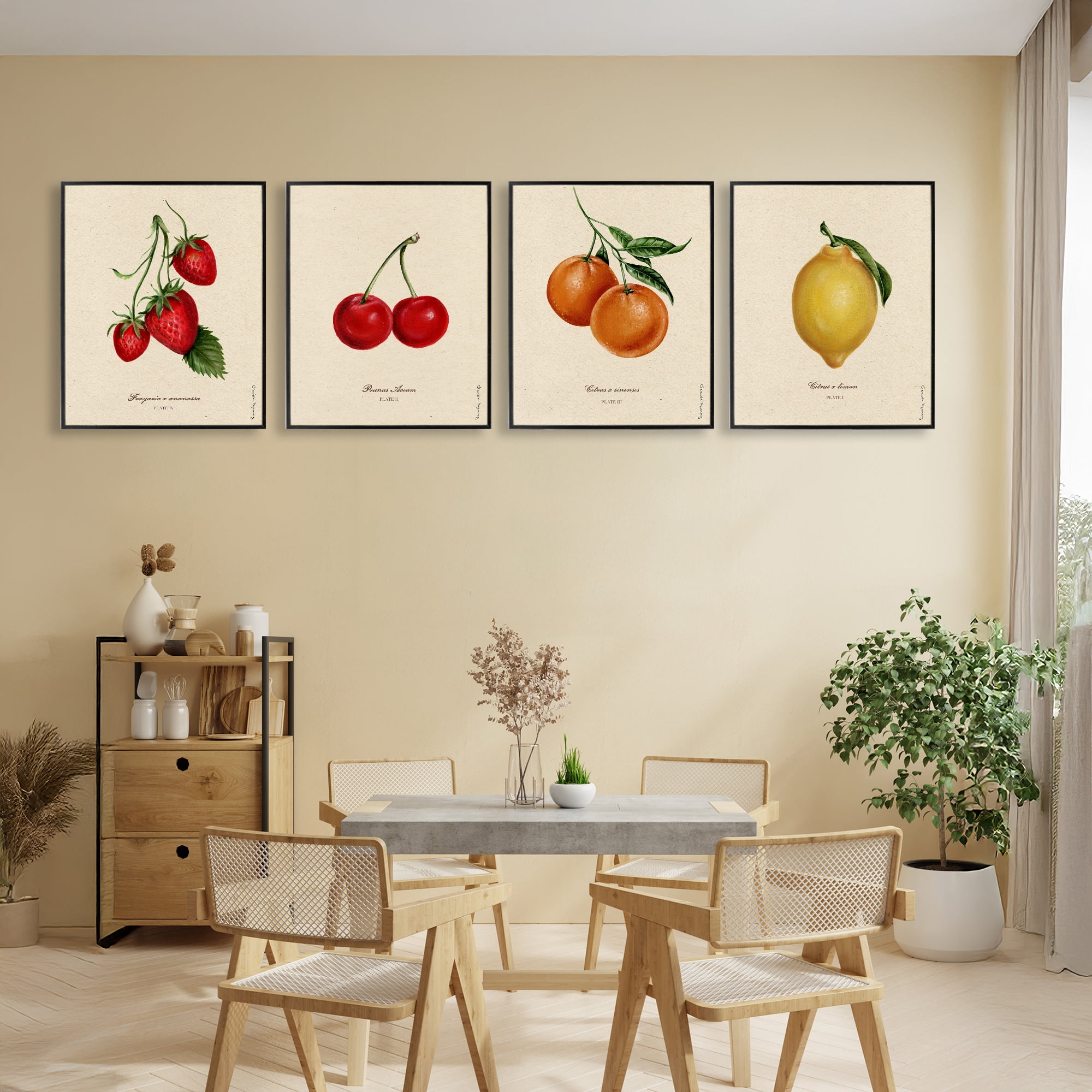 Stupell Industries Vintage Fruit Portraits 4 Piece Black Framed Giclee Art Set, design by Danielle Murray