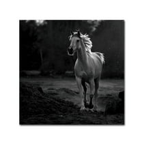 Trademark Fine Art 'Coquetry' Canvas Art by Abdullah Al-Saeed