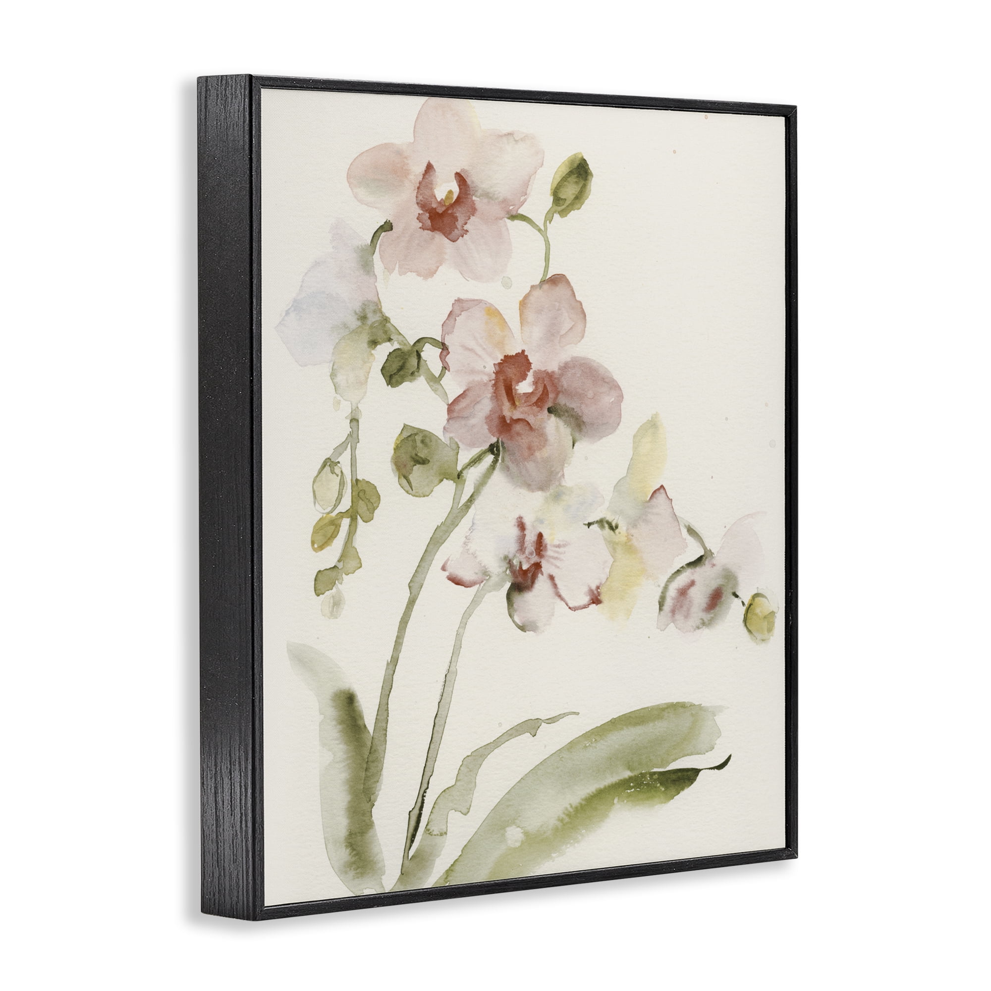 Stupell Industries Gentle Pink Orchid in Bloom Black Framed Giclee Art, design by Victoria Barnes