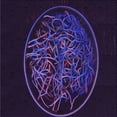 thumbnail image 1 of Ahgly Company Machine Washable Indoor Square Transitional Deep Purple Area Rugs, 4' Square, 1 of 7