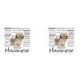 thumbnail image 3 of CafePress - Havanese Traits Mugs - 15 oz Ceramic Large White Novelty Mug, 3 of 6