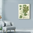 thumbnail image 3 of Trademark Fine Art 'Weinman Greenery III' Canvas Art by Weinmann, 3 of 4