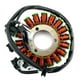 thumbnail image 5 of Bobina de estator generador 18 polos para Kawasaki EX300 EX250 Ninja 13-17 ER250 ER300, 5 of 9