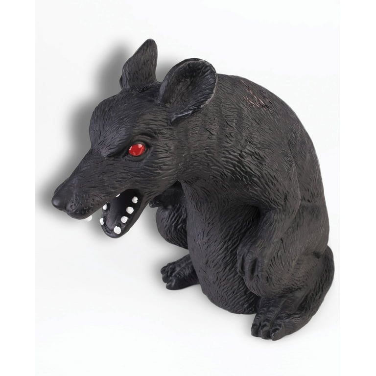 Possesed Black Rat Possesed Black Rat