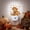 Brown, Orange, White, variant on Plug in LED Night Lights Modern Abstract Psychedelic Nightlight with Auto Dusk to Dawn Sensor,Groovy Geometric Art Swirling Energy Saving Lamps for Bedroom Hallway Bathroom Nursery