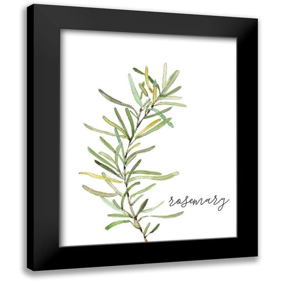 Robinson, Carol 12x14 Black Modern Framed Museum Art Print Titled - Fresh Sprig Rosemary