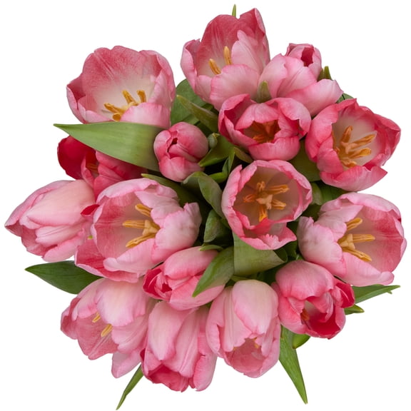 Valentine's Day Tulip Flower Bunch Large