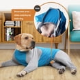 thumbnail image 3 of Pet Recovery Suit Dog Pajamas High Elasticity Comfortable Convenient Home Wear Jumpsuit Clothing For Small Medium Dogs, 3 of 9