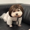 thumbnail image 6 of Dog Cat Cosplay Wig, Black Brown Straight Funny Pet Wig, Halloween Christmas Party Costume Accessories for Small Medium Large Dogs, 6 of 9