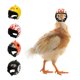 thumbnail image 1 of BEMS-4pcs casco para pájaros y pollos, casco para mascotas pequeñas, sombrero creativo para gallinas y patos, protección, 1 of 4