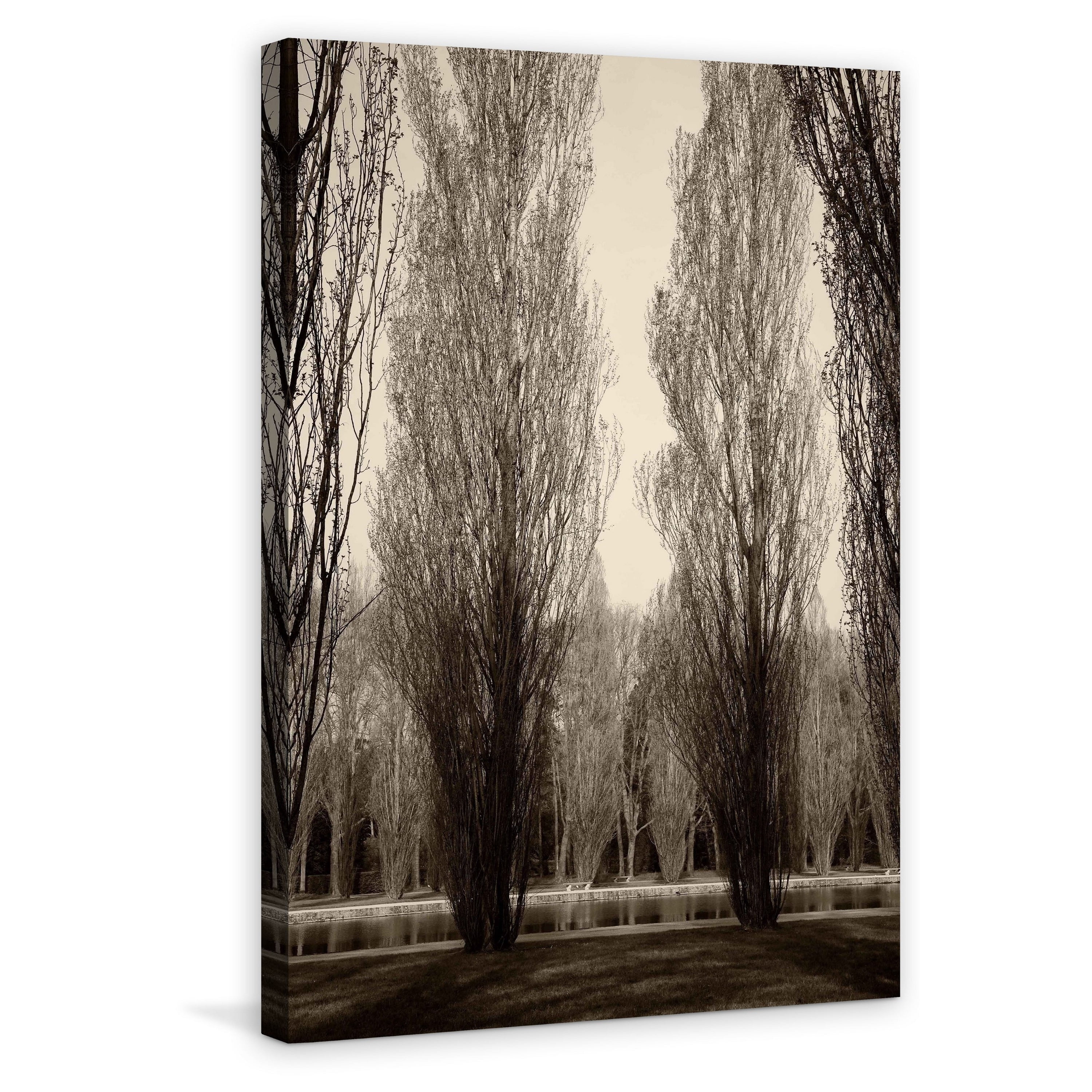 "Tree Pair" Painting Print on Wrapped Canvas