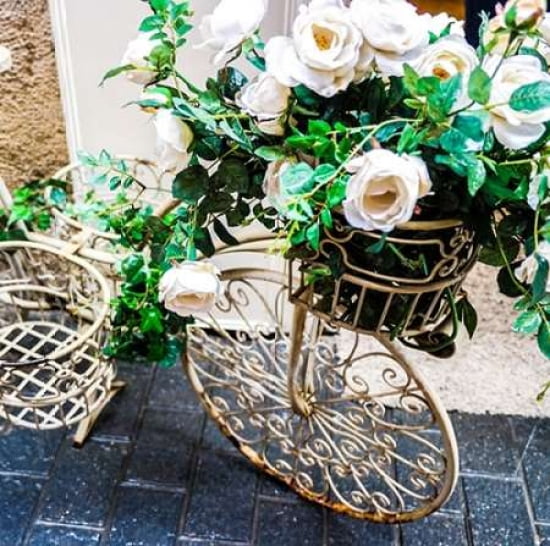 Flower Bike Square Canvas Art - Acosta(24X24)