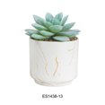 thumbnail image 2 of maskred 4pack/lot Exquisite Crafted Succulent Plant With Good Hand Feeling - Realistic Appearance Non-toxic ES1438-13, 2 of 6