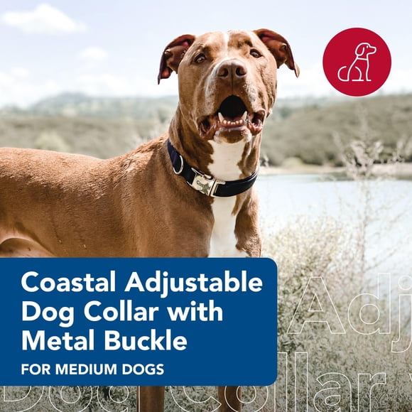 Coastal Pet Adjustable Dog Collar with Metal Buckle - Fade-Resistant Dog Collar Perfect for Walking & Tie Outs - Comfortable Collar with Snap Lock - Black 3/4"" x 14"" x 20""