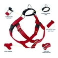 thumbnail image 4 of 2 Hounds Design Freedom No Pull Dog Harness | Adjustable Gentle Comfortable Control for Easy Dog Walking | for Small Medium and Large Dogs | Made in USA | Leash Not Included | 1" XL Red, 4 of 4
