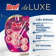 thumbnail image 2 of Bref WC Deluxe Single Package Solid Toilet Block Magnolia, 2 of 8
