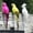 Res Red+Yellow+White, variant on 3Pcs Feather Parrot Macaw Artificial Bird for Modern Home Garden Zoo Ornament Decoration (25cm/9.8inch)