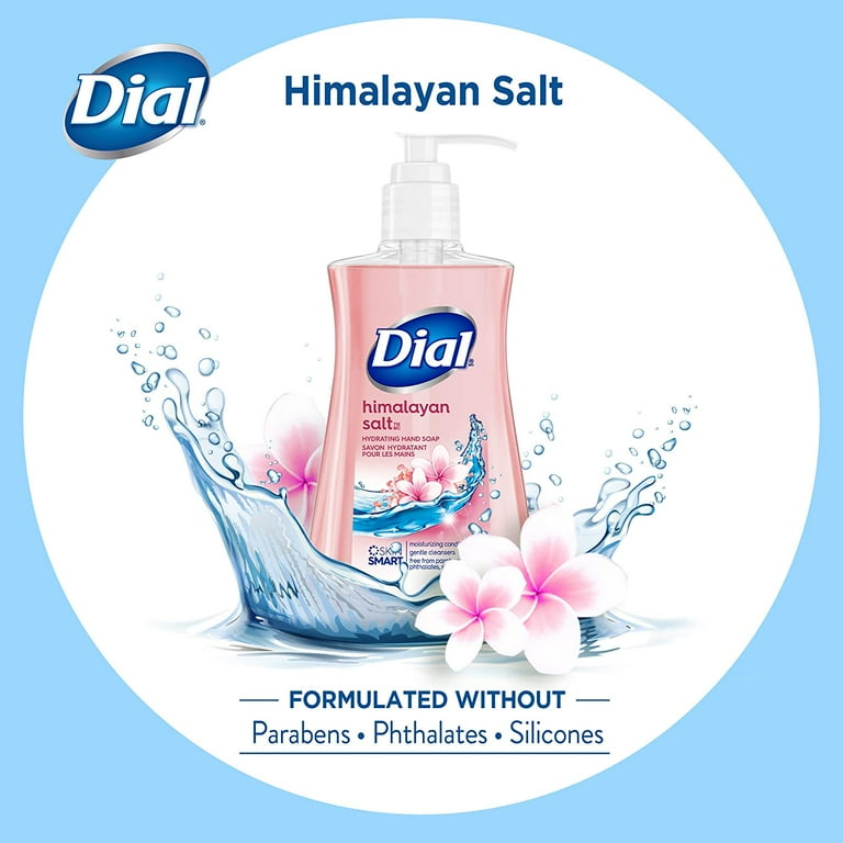 Dial Liquid Hand Soap Himalayan Salt 7.5 Fluid Ounces Pack of 6