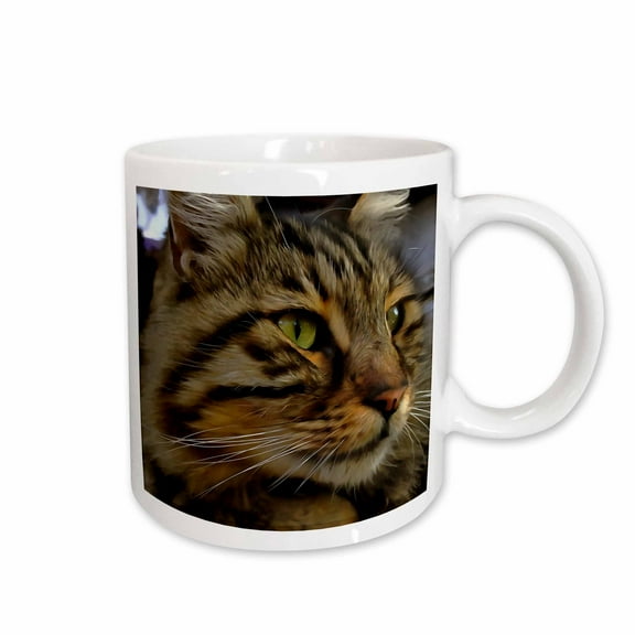 3drose, Aslan the Long Haired Tabby Cat, 15oz Mug