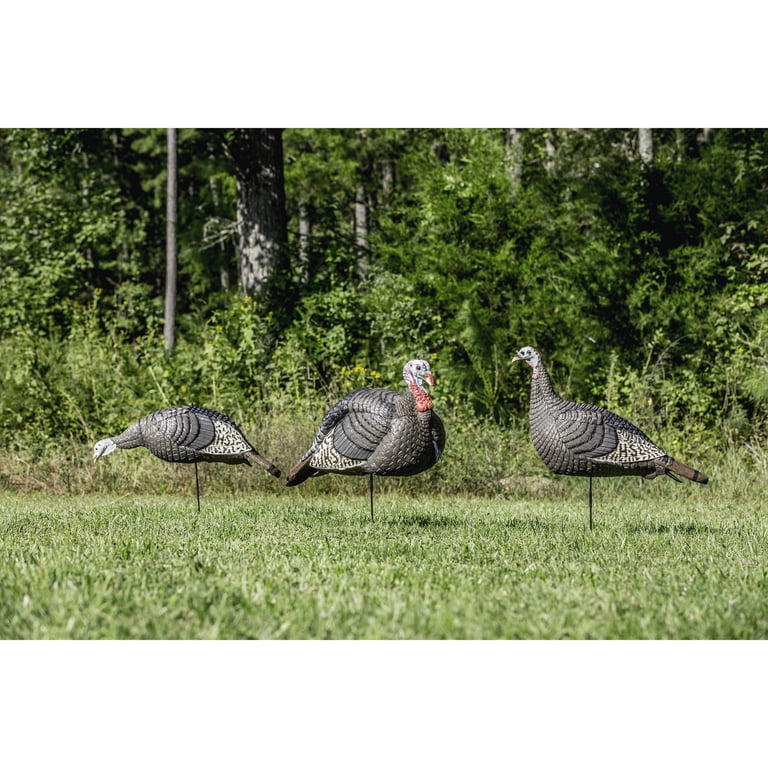 HUNTERS SPECIALTIES HS Strut Lite Jake & Feeding Hen Turkey