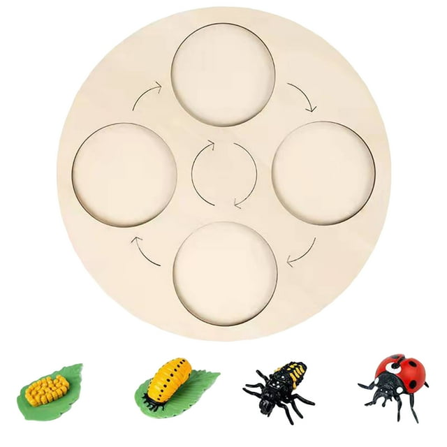 TIELUTT Montessori Life Growth Cycle Board the Circular Deduction Teaching Aid Board Handheld Math Games for Kids Sensory for Boys Foam Beads for Kids Counting Cubes for Kids Math 100 Addition Games u